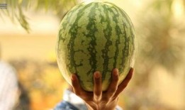 吃瓜大事件,揭秘娱乐圈最新大事件背后的真相