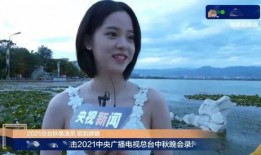 娱乐吃瓜酱流量