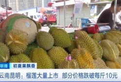 吃瓜娱乐间榴莲,热带果王背后的传奇与争议