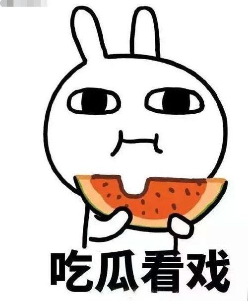 在娱乐圈吃瓜的沙雕小说,沙雕吃瓜日常,笑料百出